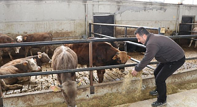 Devlet desteğiyle işini büyüttü! Akıllı ahır projesiyle hayatı değişti