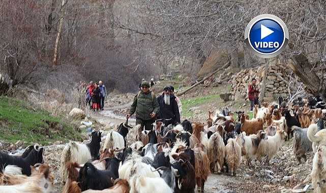 Doğa tutkunlarının bahar yürüyüşü