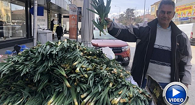 Doğal antibiyotik tezgahlarda yerini aldı   