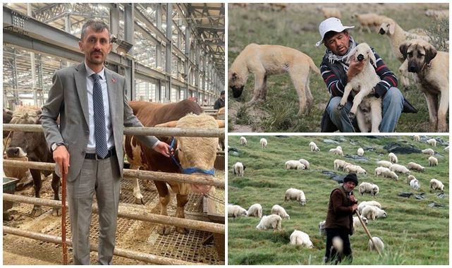 Doğu'da çoban krizi! 150 bin lira maaşa çalışacak kimse yok