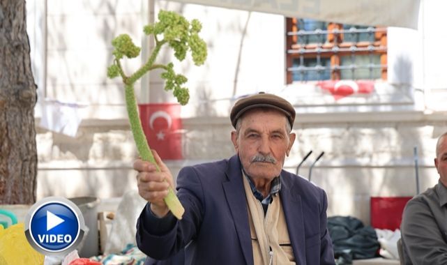 Doğu'nun vitamin deposu tezgahlarda yerini aldı 