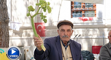 Doğu'nun vitamin deposu tezgahlarda yerini aldı 