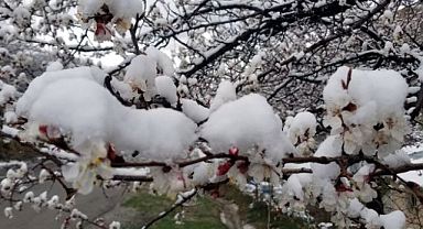 Doğu ve İç Anadolu’da don uyarısı: sıcaklıklar eksiye indi
