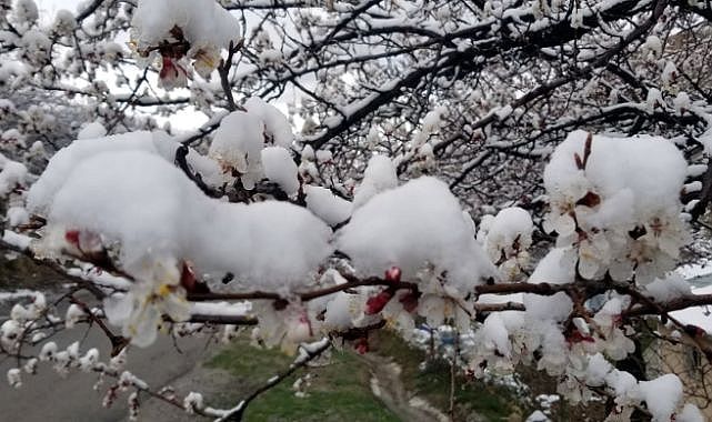 Doğu ve İç Anadolu’da don uyarısı: sıcaklıklar eksiye indi