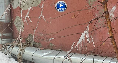 Dondurucu soğukta ağaçlar buz tuttu