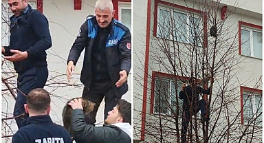 Erzurum’da ağaçta mahsur kalan kedi kurtarıldı