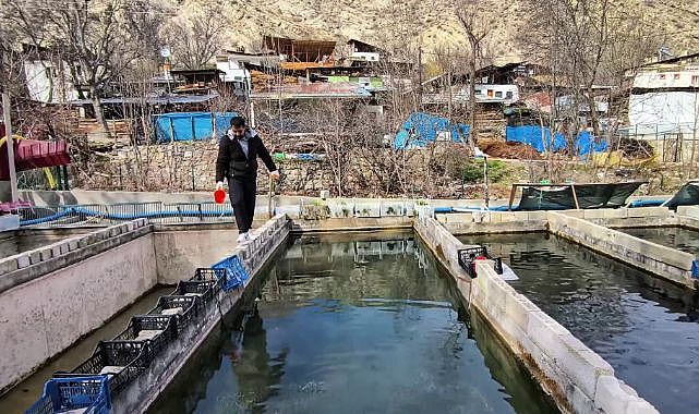 Erzurum'da alabalık tesisinde büyük kayıp sonrası üretici destek bekliyor
