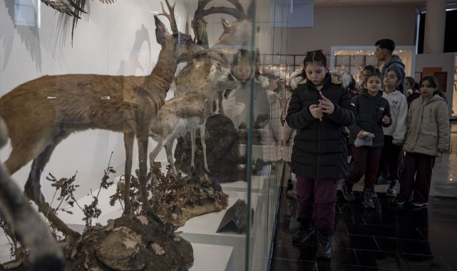 Erzurum'da doğanın hafızası! 250 bin örnek tek çatı altında