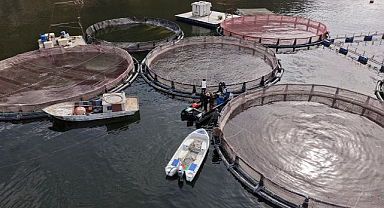 Erzurum’da kafes balıkçılığına yoğun talep