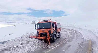 Erzurum'da kar ve tipi mesaisi 