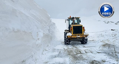 Erzurum'da karla mücadeleye devam   
