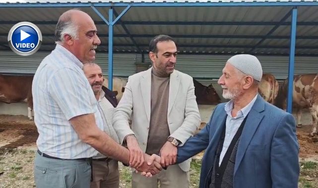 Erzurum'da kurban pazarında hareketlilik başladı 