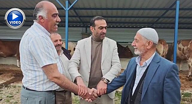 Erzurum'da kurban pazarında hareketlilik başladı 