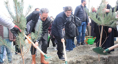 Fidanlar toprakla buluştu