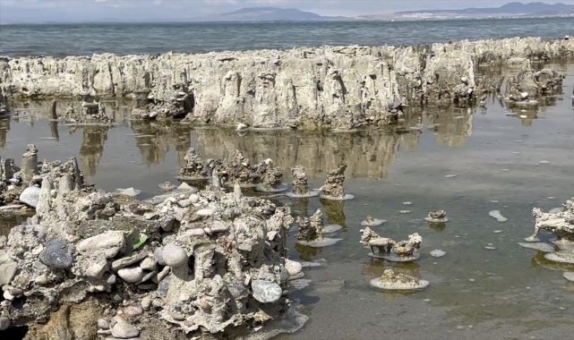 Gölün altındaki gizem Guinness yolunda