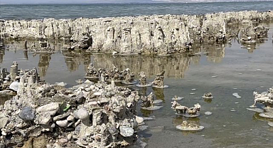 Gölün altındaki gizem Guinness yolunda