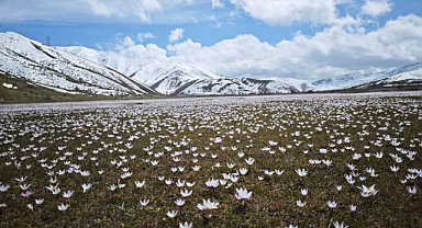 Güzeldere Vadisi'nde bahar şöleni