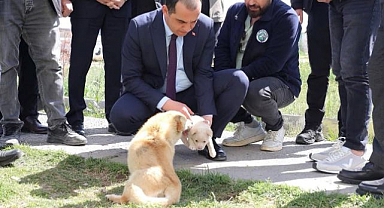 Hayvan bakımevinde çalışmalar değerlendirildi