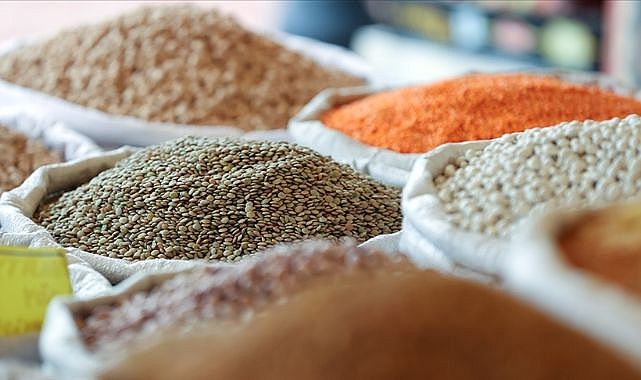 Yağışlar hastalığı beraberinde getirdi