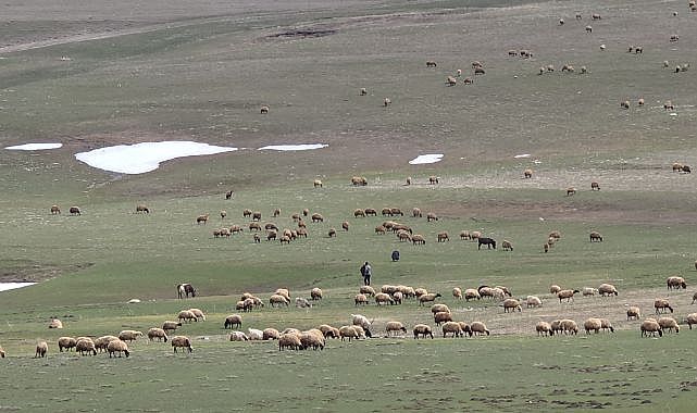 İki mevsim bir arada yaşanıyor