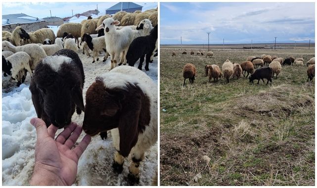 İki mevsim bir arada yaşanıyor   