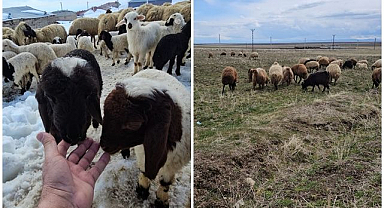 İki mevsim bir arada yaşanıyor   