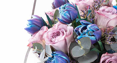 İstanbul Çiçek Kültürü ve Modern Hediyeleşme