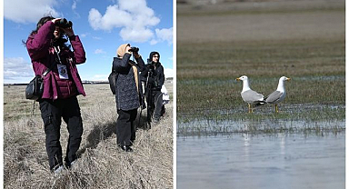 Kampüsteki kuş türlerini gözlemlediler