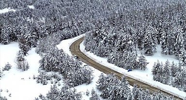Karla kaplı Sarıkamış ormanları dronla görüntülendi
