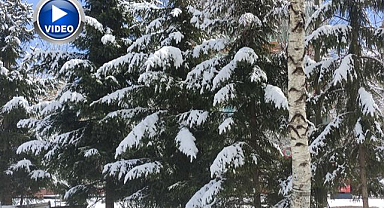 Kartpostallık görüntüler büyüledi