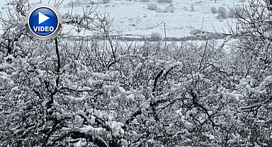 Kayısı bahçeleri kar altında kaldı   
