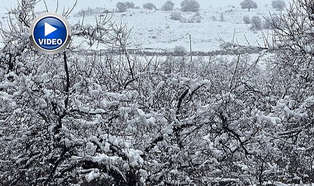 Kayısı bahçeleri kar altında kaldı