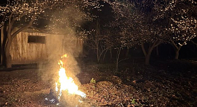 Kayısı üreticilerinden don nöbeti