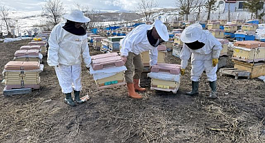 Kovanlar kayıpsız açıldı üreticiler umutlu