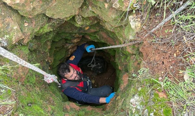 Köyde keçi kurtarma operasyonu! Ekipler seferber oldu