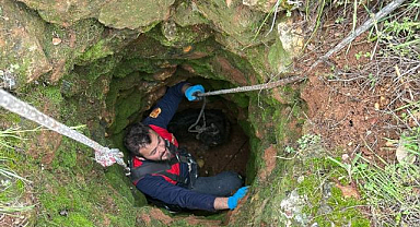 Köyde keçi kurtarma operasyonu! Ekipler seferber oldu