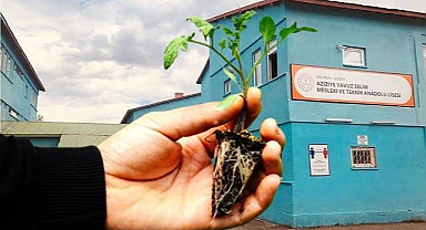 Lise öğrencilerinden tarıma destek: Fide üretimi ve satış