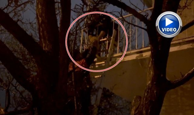 Mahsur kalan kedinin yardımına koştular