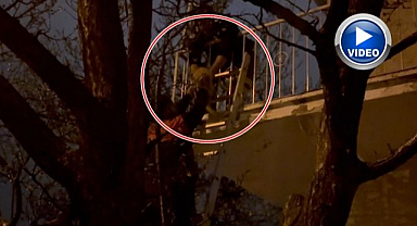 Mahsur kalan kedinin yardımına koştular