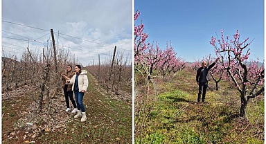 Meyvede verim için saha çalışması