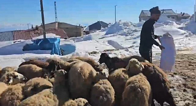 Nisan ayında 3 metreyi bulan kar hayatı zorlaştırıyor