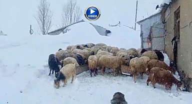 Nisan'da kar sürprizi: Köyde evler kara gömüldü