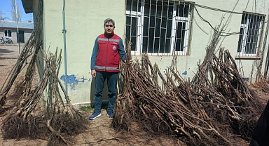 On binlerce meyve fidanı dağıtıldı