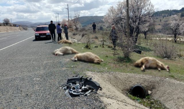 Otomobil koyun sürüsüne çarptı