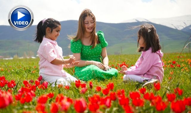 Rengarenk laleler ovayı kırmızıya boyadı   