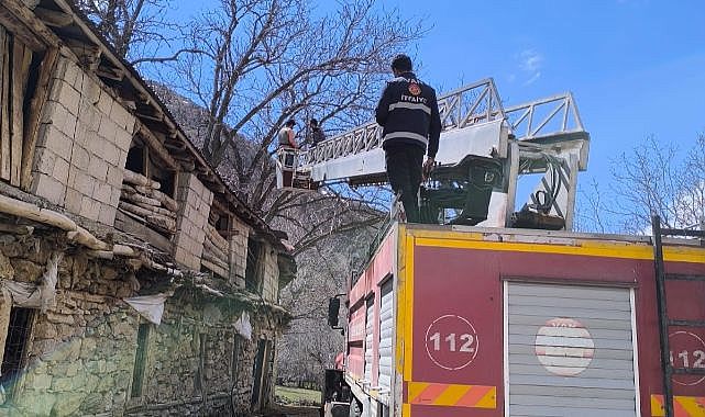 Rüzgar devirdi: Ahırın üzerine ağaç düştü