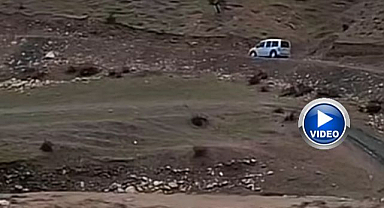 Sağanak yağış hayvancılığı olumsuz etkiledi