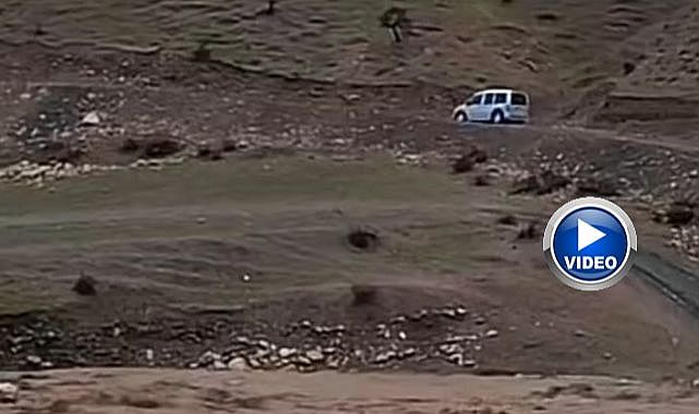 Sağanak yağış hayvancılığı olumsuz etkiledi