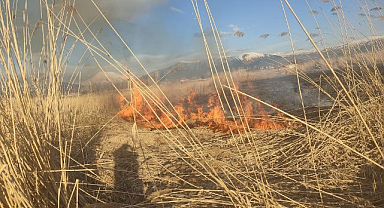 Sazlık alan alevlere teslim oldu!