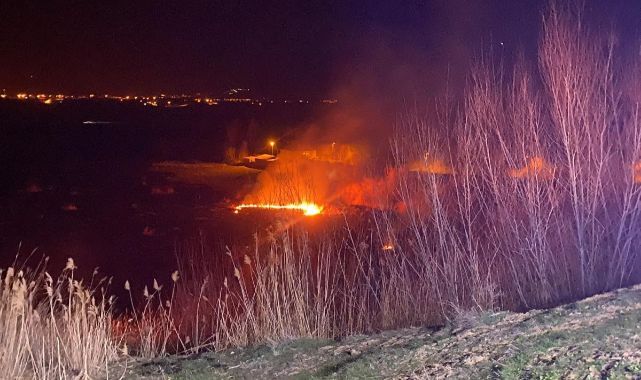 Sazlık alanda çıkan yangın söndürüldü